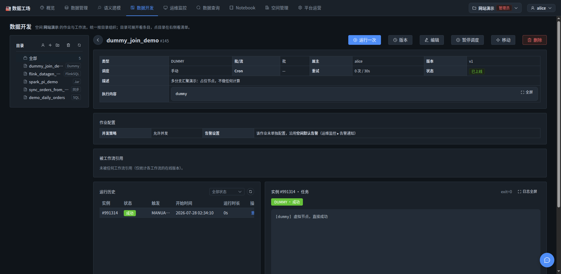 Dummy 作业详情:配置、运行历史与日志